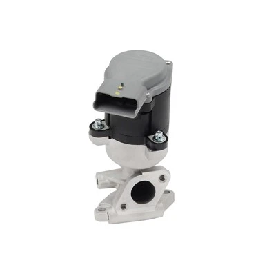 1618.N6 Penggantian Injap EGR untuk JAGUAR Diesel HOFFER: 7518082