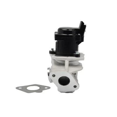 161859 Injap EGR Kualiti OE untuk VW Amarok Diesel PIERBURG:724809390