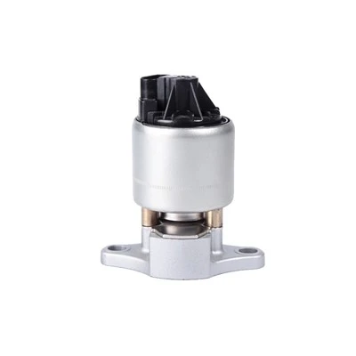 17099322 Injap EGR Diesel untuk CHEVROLET BorgWarner:EGR1282