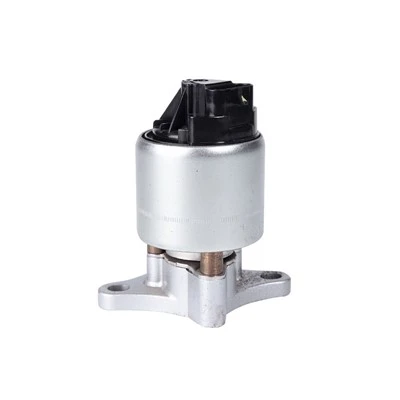 17114573 Injap EGR Automotif untuk CHEVROLET BUICK AIRTEX:4F1139
