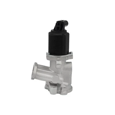 58 51 049 Injap EGR Standard OEM untuk Kenderaan Euro 6 GM OPEL VAUXHALL FIAT LANCIA ALFA ROMEO ERA: 555040